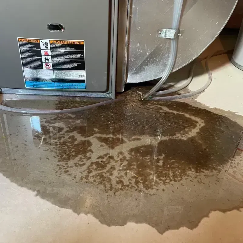 Appliance Leak Cleanup in Webb County, TX